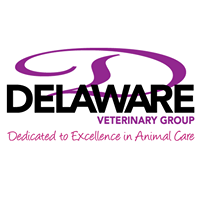 Delaware Veterinary Group