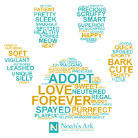 Noah’s Ark Animal Welfare Association