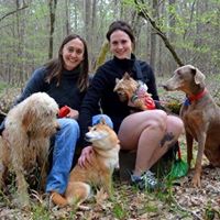 Dog Tales Day Camp and Boarding