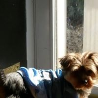 Kim and Lynn’s Loving Care Pet Sitting