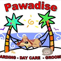 Pawadise