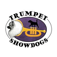Trumpet Show Dogs