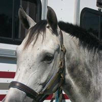 Premier’s Riding School LLC