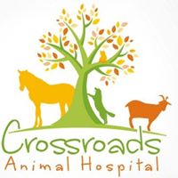 Crossroads Animal Hospital (South Carolina)
