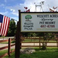 Wescott Acres Luxury Pet Resort & Rescue
