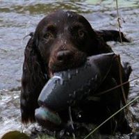 Just Ducky Kennel