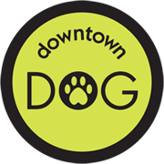 Downtown Dog