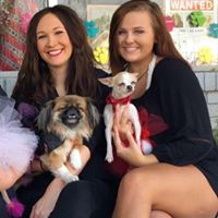 HottDogs Grooming & Boarding, LLC