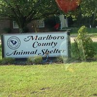 Marlboro County Animal Shelter