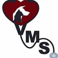 Veterinary Medicine and Surgery
