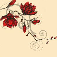 Red Magnolia Salon
