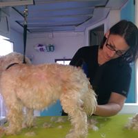 Ruff Cuts Pet Salon