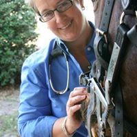Tune Ups Veterinary Equine Dentistry and Services