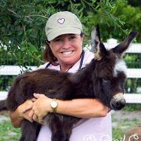 East Coast Veterinary Services