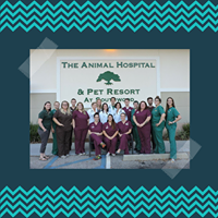 The Animal Hospital and Pet Resort at Southwood