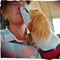 Lori’s Pawzitive FX Pet Sitting