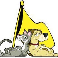 Town and Country Animal Hospital Naples, Florida