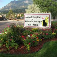 Animal Hospital of Colorado Springs