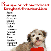 DarlingtonCountyhs Rescue