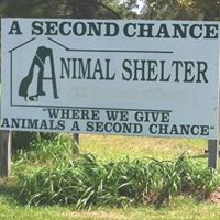 A Second Chance Animal Shelter – ASCAS Manning, SC