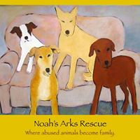 Noah’s Arks Rescue