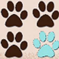 All 4 Paws Animal Rescue