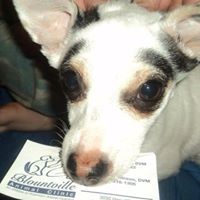 Blountville Animal Clinic