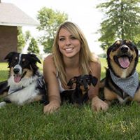 Alyssa Algren Pet Stylist
