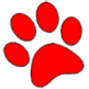 Scottsdale Pet Hotel