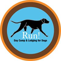 Run! Day Camp For Dogs