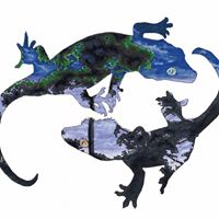 Geckos at Twilight