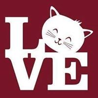 Darlington County Humane Society Cats