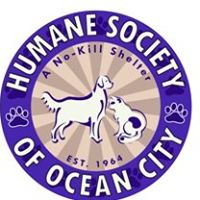 Humane Society of Ocean City
