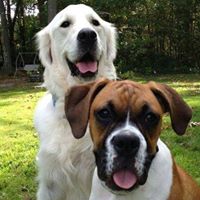 Live Bark Love Pet Services