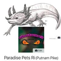 Pure Paradise Pets