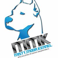 MistyMoor Kennel Dogo Argentino