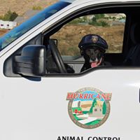 Hurricane Animal Shelter