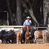 J & K Equine Services