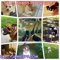 Salty Dawgs Pet Services
