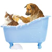 Knowles Pet Salon