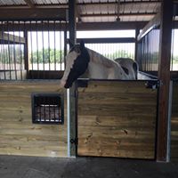 Raising Cane Stables