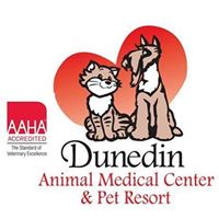 Dunedin Animal Medical Center
