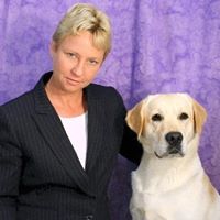 Show Den Labradors