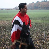 El Dorado German Shepherds