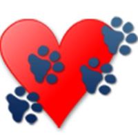 Four Paws of Palm Beach