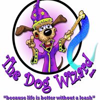 Mooresville Dog Wizard