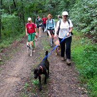 Asheville Humane Society Hiking Hounds
