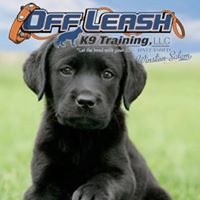 Winston Salem Dog Trainers: Off Leash K9 Training