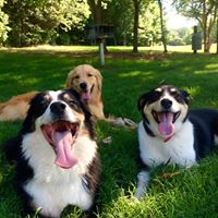 Uberdog Training