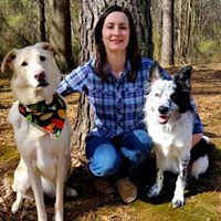Always Pawsitive Dog Training